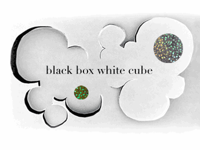 black box white cube